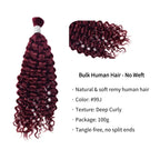 Braiding Hair - #99J Burgundy Deep Curly Human Hair